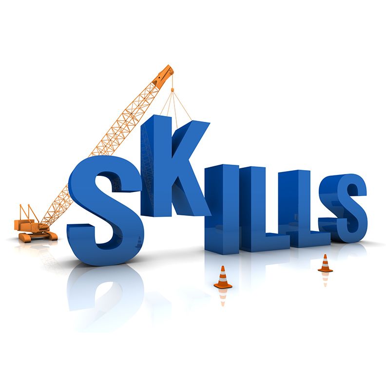 Skills Development